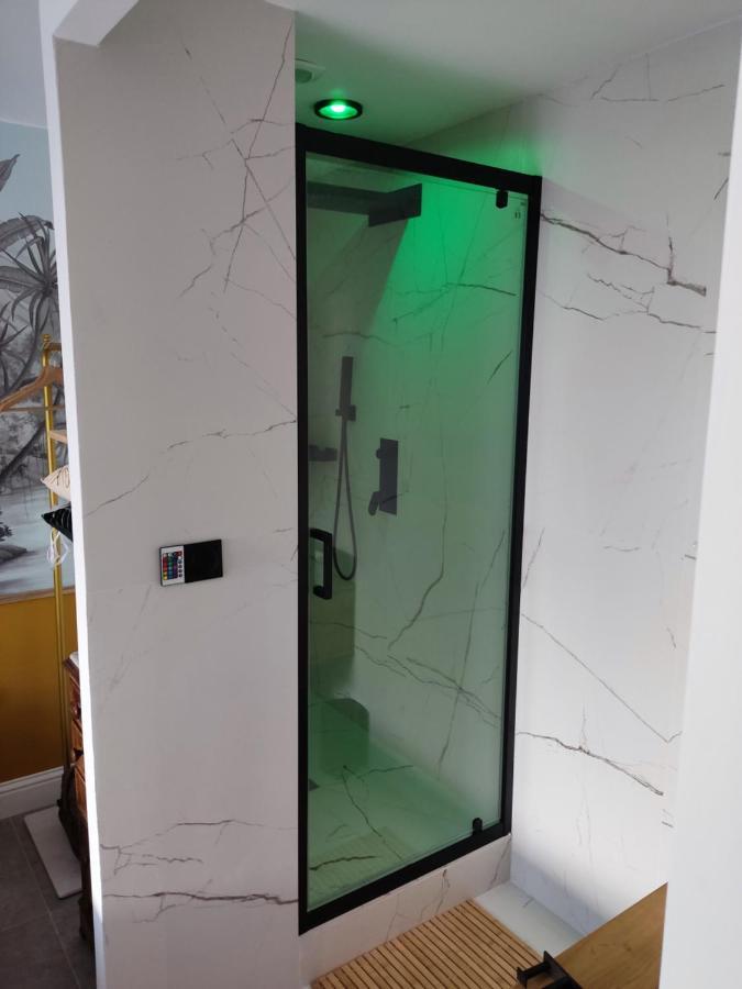 Superbe Appartement Avec Jacuzzi Avec Jardin Prive Lyon Exterior photo