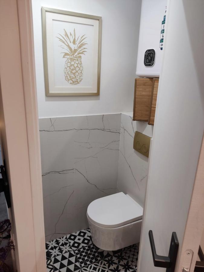 Superbe Appartement Avec Jacuzzi Avec Jardin Prive Lyon Exterior photo